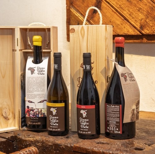 "Diamo un taglio alla sete", vent'anni d'impegno con i vini della solidarietà per aiutare l'Africa senz'acqua. Sabato e domenica torna la grande festa di Nimis